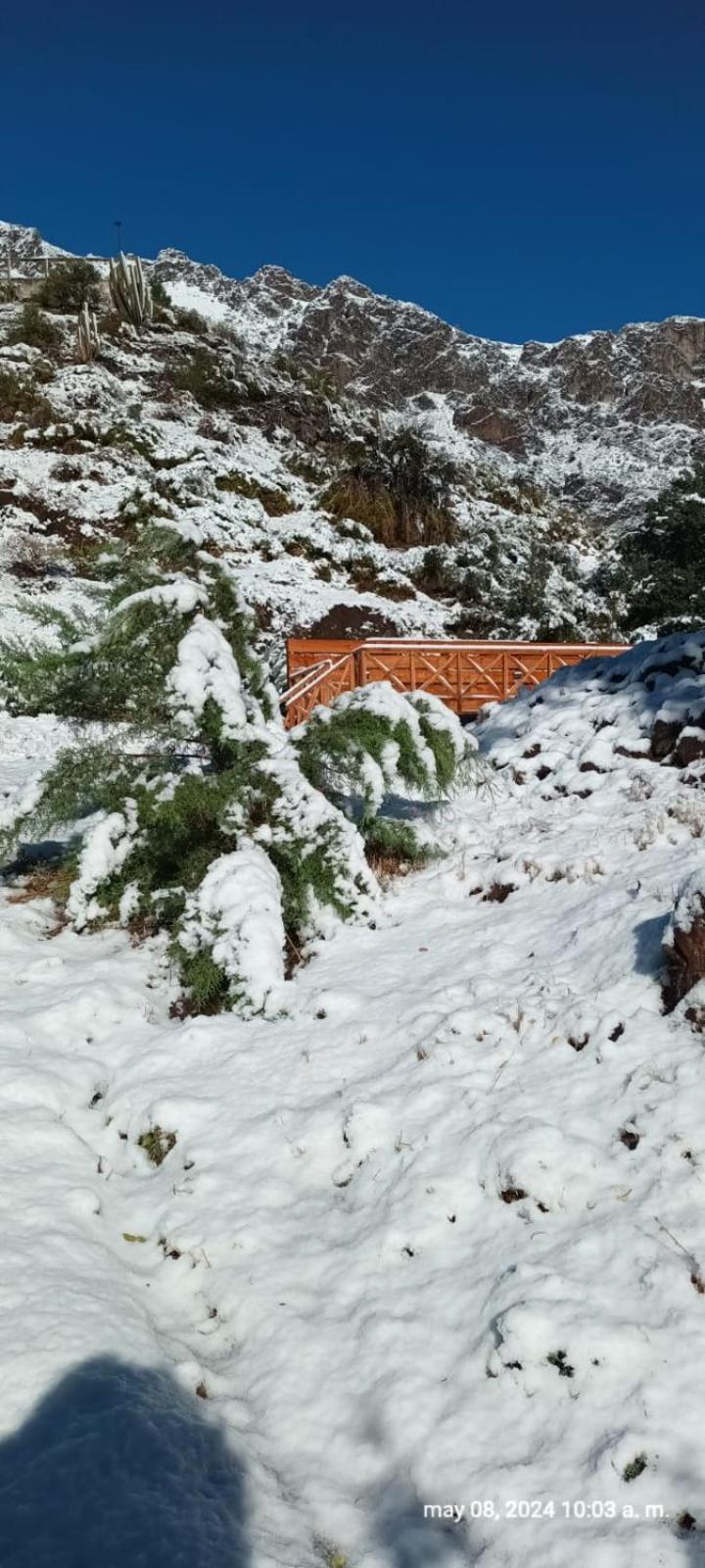 Hostal Los Penones Сан Алфонсо Екстериор снимка
